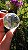 Esfera de Cristal Extra Multifacetada - Imagem 4