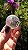 Esfera de Cristal Extra Multifacetada - Imagem 4