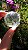 Esfera de Cristal Extra Multifacetada - Imagem 3