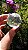 Esfera de Cristal Extra Multifacetada - Imagem 4