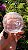 Esfera de Cristal Extra Multifacetada - Imagem 1
