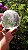 Esfera de Cristal Extra Multifacetada - Imagem 4