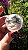 Esfera de Cristal Extra Multifacetada - Imagem 3