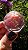 Esfera de Cristal Extra Multifacetada - Imagem 4