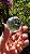 Esfera de Cristal Extra Multifacetada - Imagem 2