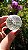 Esfera de Cristal Extra Multifacetada - Imagem 3
