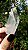 Cristal Semente Estelar - Imagem 2