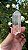 Cristal Gravado Transmissor - Imagem 2