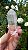 Cristal Gravado Transmissor - Imagem 1
