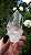 Cristal Semente Estelar - Imagem 2
