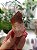 Dream Coat Red Cap - Imagem 3