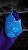 Âmbar Blue - Imagem 2
