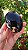 Âmbar Blue Palmstone - Imagem 1