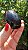 Âmbar Blue Palmstone - Imagem 4