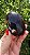 Âmbar Blue Palmstone - Imagem 4