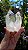 Cristal Catedral - Imagem 6