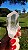 Transmissor com inclusões Anatásio - Imagem 1