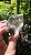 Quartzo Jardim - Cristal Xamã - Imagem 4