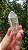 Quartzo Jardim - Cristal Xamã - Imagem 1