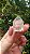 Quartzo Jardim - Cristal Xamã - Imagem 1