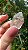 Quartzo Jardim - Cristal Xamã - Imagem 4