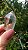 Quartzo Jardim - Cristal Xamã - Imagem 7