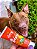PROTETOR SOLAR PET - DOCG verde - Imagem 4