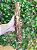 WOOD N´PET EXTREME - Imagem 2
