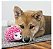 KONG COMFORT HEDGEHUG PUPPY - Imagem 2