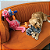 Passaro de Pelucia Kong Jumbo Birds Xlarge - Imagem 4