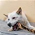 Sticko de Pele de Bufalo - LUV - Imagem 2