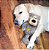 KONG WILD KNOTS BEAR Large - Imagem 3