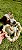 Mordedor de pele Bovina Crush Pet - Alecrim Pet - Imagem 1