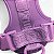 PEITORAL HARNESS - WE ARE FAMILY - Imagem 7