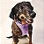 PEITORAL HARNESS - WE ARE FAMILY - Imagem 1