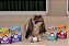 Kit 3 Unidades Weggs- Wow - Imagem 3