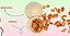 Kit 3 Unidades Weggs- Wow - Imagem 2