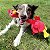 Pelucia Kong Bobz para cães - variados - Imagem 3