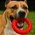 Brinquedo Anel Extraforte Ultraring para Cães - Germanhart - Imagem 1