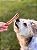 Vergalho Stick 100g - Mordedor Natural para Cães - Imagem 3