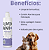 Shampoo Para Cães e Gatos 500ml - Ani+ - Imagem 2