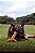 Tubão Power 1 uni (Traqueia e Couro Desidratado) - Pet Bem - Imagem 7