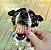 Mini Traqueia de Boi /Tubinho Bovino 100g- Pet bem - Imagem 3