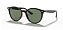 RAYBAN RB4305 601/71 53 - ÓCULOS DE SOL - Imagem 1