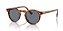 OLIVER PEOPLES OV5217S 1483R8 GREGORY PECK SUN 50 - ÓCULOS DE SOL FOTOCROMÁTICO - Imagem 1