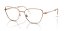 SWAROVSKI SK1018 4014 55 -  ÓCULOS DE GRAU - Imagem 1