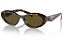 PRADA PR 26ZS 14L-09Z 55 - ÓCULOS DE SOL - Imagem 1