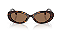 DOLCE & GABBANA DG4537 502/87 53 - ÓCULOS DE SOL - Imagem 3