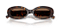 DOLCE & GABBANA DG4537 502/87 53 - ÓCULOS DE SOL - Imagem 4