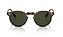 OLIVER PEOPLES OV5217S 1724P1 GREGORY PECK SUN 50 - ÓCULOS DE SOL POLARIZADO - Imagem 3